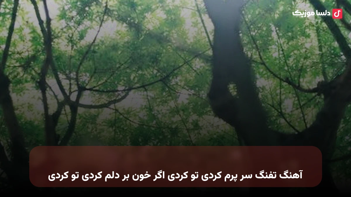  تفنگ سر پرم کردی تو کردی اگر خون بر دلم کردی تو کردی